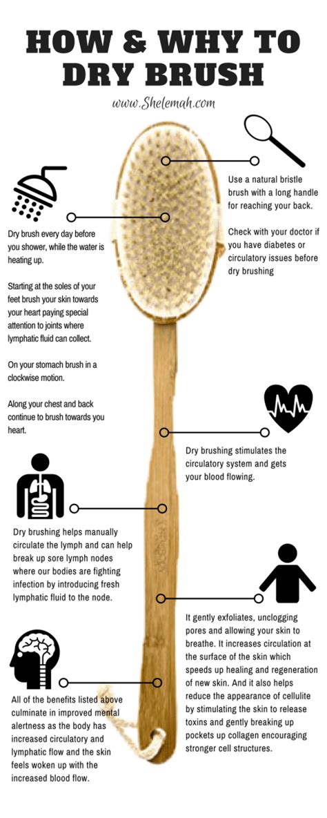 Dry Brushing for Skin, Circulatory, and Lymphatic Health | Shelemah