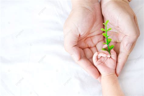 Baby Hand Gesture, Baby Gesture, Little Hand, Newborn Background Image for Free Download