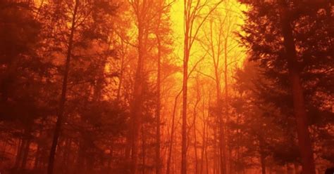 Tennessee Wildfire is ‘Unlike Anything We’ve Ever Seen’ | Climate Central