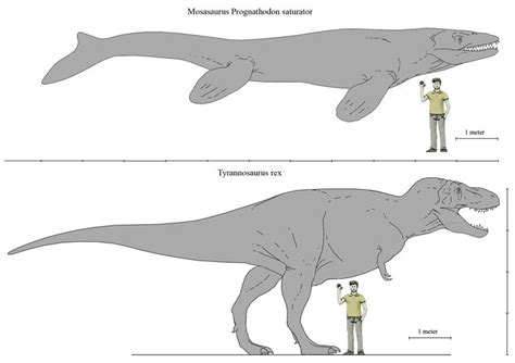 Prehistoric animals, Ancient animals, Extinct animals