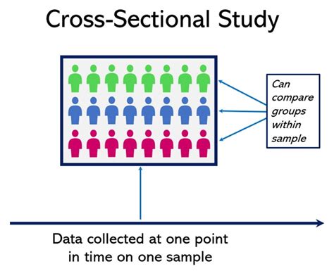 10 Cross-Sectional Study Advantages and Disadvantages (2024)