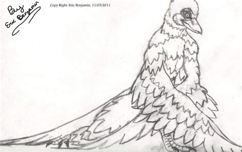 avian human hybrid by asteroid-001 on DeviantArt