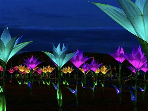 Jacksonville Zoo lights up summer with IllumiNights