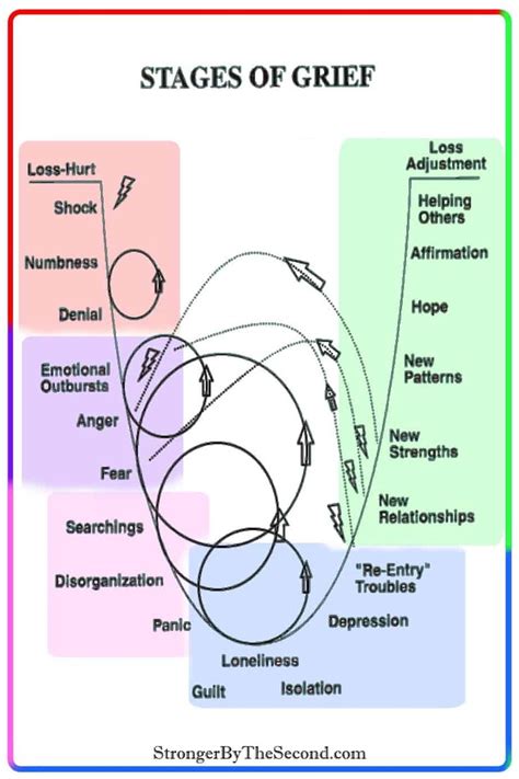 How To Survive A Divorce | The 5 Stages Of Grief | Stages of grief, Grief counseling, Grief