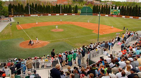 Athletics at the University of North Carolina at Charlotte | UNC Charlotte