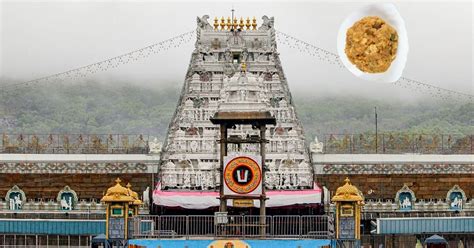 Sanctity of 'laddu prasadam' restored, unblemished now, says Tirumala ...