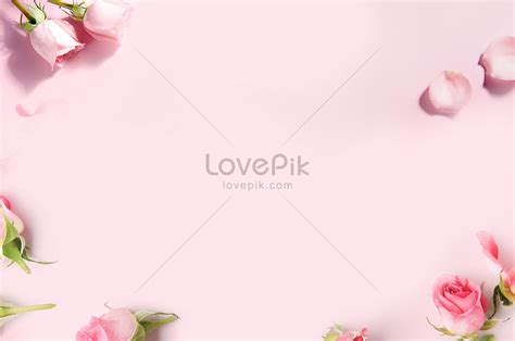 White Background Pink Flowers