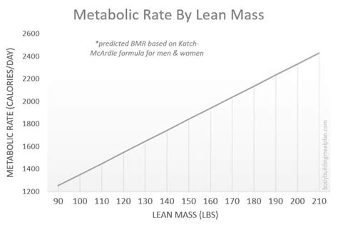 Metabolic Age Calculator + 7 Simple Steps To Lower Metabolic Age