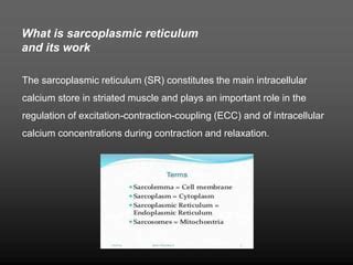 Physiology of muscles contraction.ppt