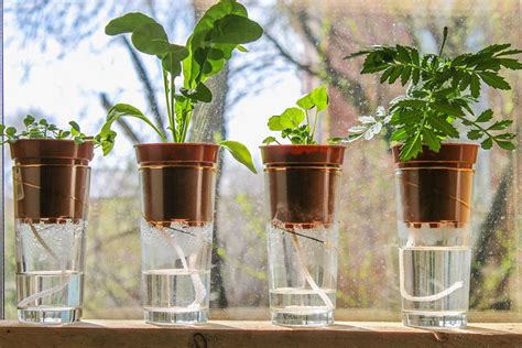 13 DIY Self-Watering Planter Plans You Can Make Today (With Pictures) | House Grail