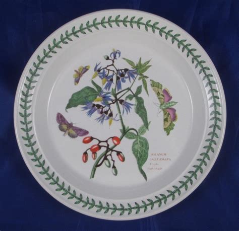 Vintage 1972 Portmeirion The Botanic Garden Woody Nightshade Salad ...