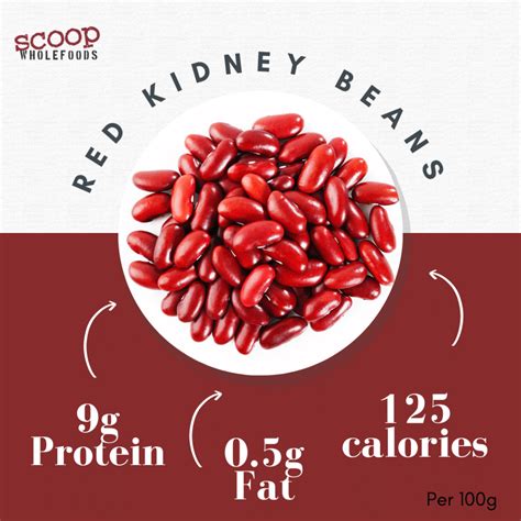 Kidney Bean Nutrition Facts And Health Benefits, 48% OFF
