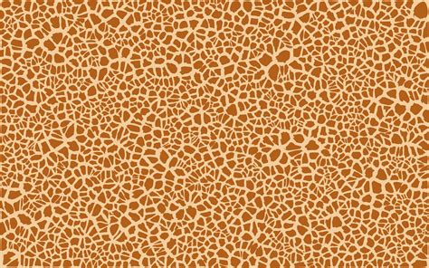 Giraffe Skin Pattern Design Clip Art Image - ClipSafari