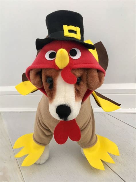 Turkey costume Dog thanksgiving costume Dog turkey costume | Etsy