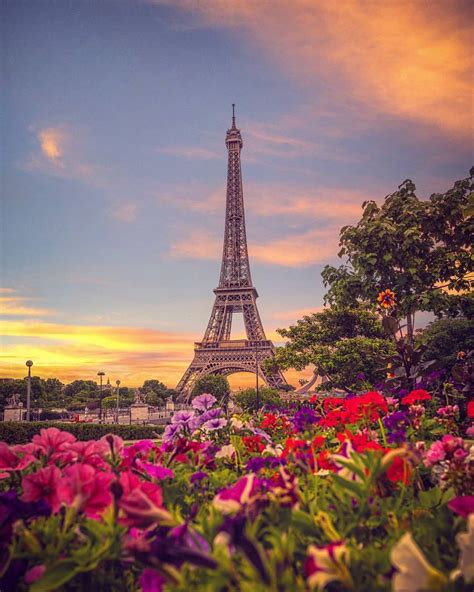 the eiffel tower is surrounded by colorful flowers