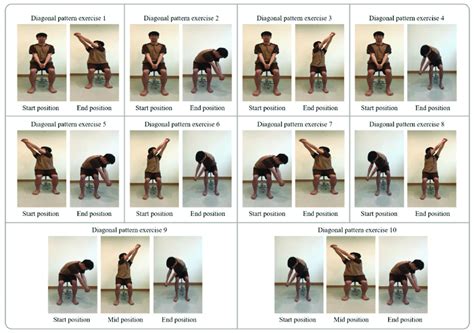 Diagonal pattern training. | Download Scientific Diagram