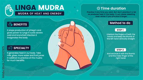 Exploring the benefits, characteristics and working of Linga Mudra-Vector illustration design ...