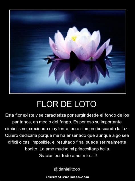 Imágenes de la flor de loto con frases | Descargar imágenes gratis ...