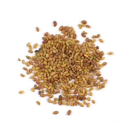 Alfalfa Seeds - VERODAV GROUP