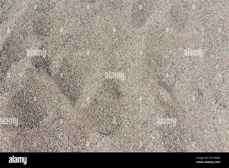 Coarse sand background texture. Close up of coarse sand grains Stock Photo - Alamy