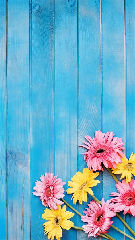 Flowers, blue, blue wood, nature, pink, wood, wooden, yellow, HD phone wallpaper | Peakpx