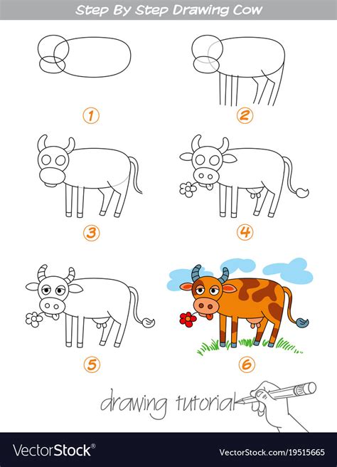 Step by step drawing cow Royalty Free Vector Image