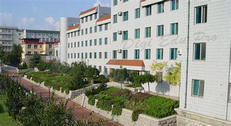 Dongbei University Of Finance And Economics