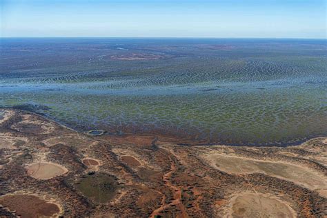 The magnificent Lake Eyre Basin is threatened by 831 oil and gas wells ...