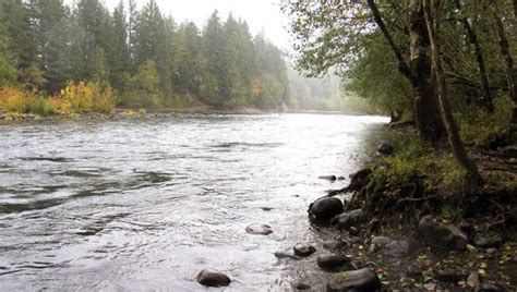 Oregon's 5 cushiest campgrounds offer cable TV, hot showers