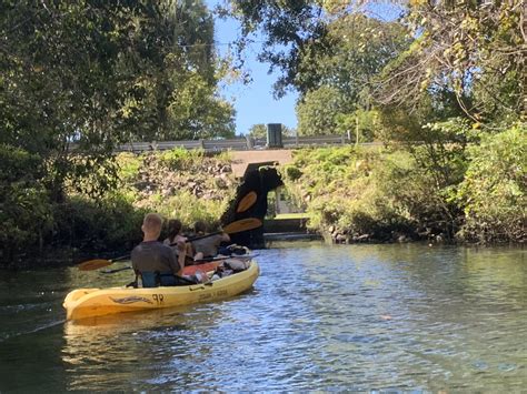 Kayaking Crystal River to Three Sisters Springs — Adopting Life's ...