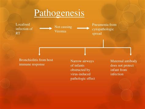 Paramyxo virus Classification Symptoms and Lab diagnosis