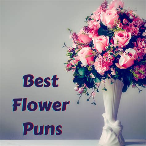 20+ Best Flower Puns for Your Flowers - CaptionsGram