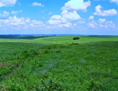 Tallgrass Prairie National Preserve