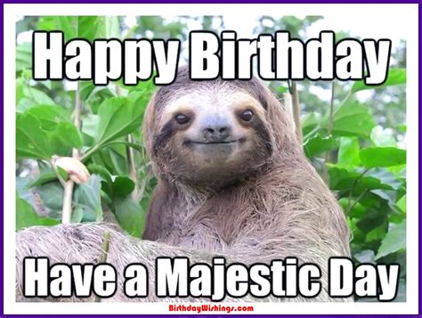 Happy Birthday Memes With Funny Cats Dogs And Animals - vrogue.co