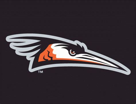 Delmarva Shorebirds Cap Logo (2010) - The head of a bird facing right ...