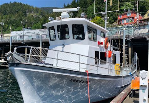 Ketchikan Wildlife, Sightseeing and Whale Watching Tour | Alaska Shore Excursions