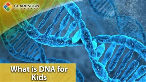 What is DNA for Kids | An easy overview of DNA for children | Awesome ...