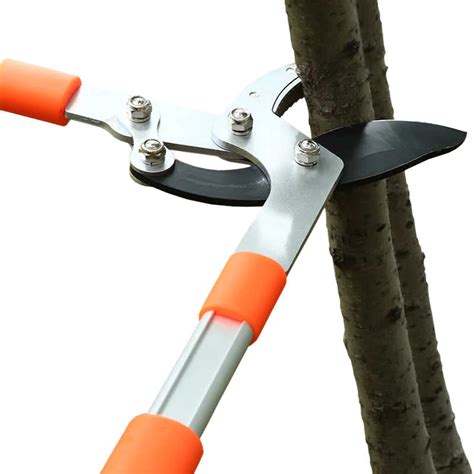 Extendable Branch Trimmer - SPCL GLOBAL