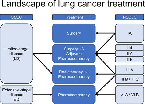 Landscape of lung cancer treatment. Treatment options for lung cancer... | Download Scientific ...