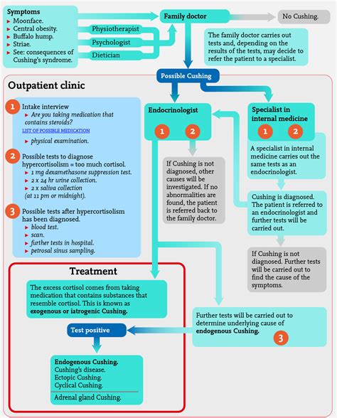 Cushing's syndrome infographic - Adrenals.eu