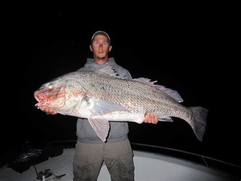 Black Sea Bass Fishing Virginia Beach