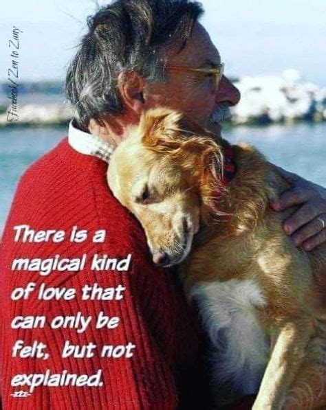 150 Animals .. Unconditional love ideas in 2021 | animals, unconditional love, dog quotes