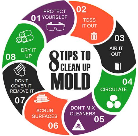 Mold Overview | Ohio Healthy Homes Network