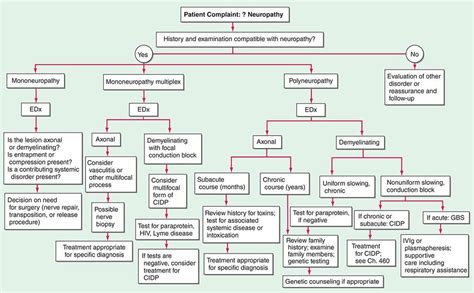 Peripheral Neuropathy | Basicmedical Key