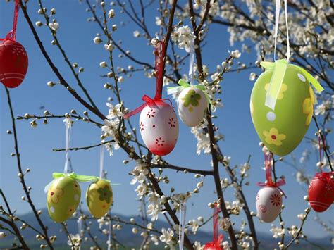 German Easter Traditions: Osterbaum | Heritage | Pinterest