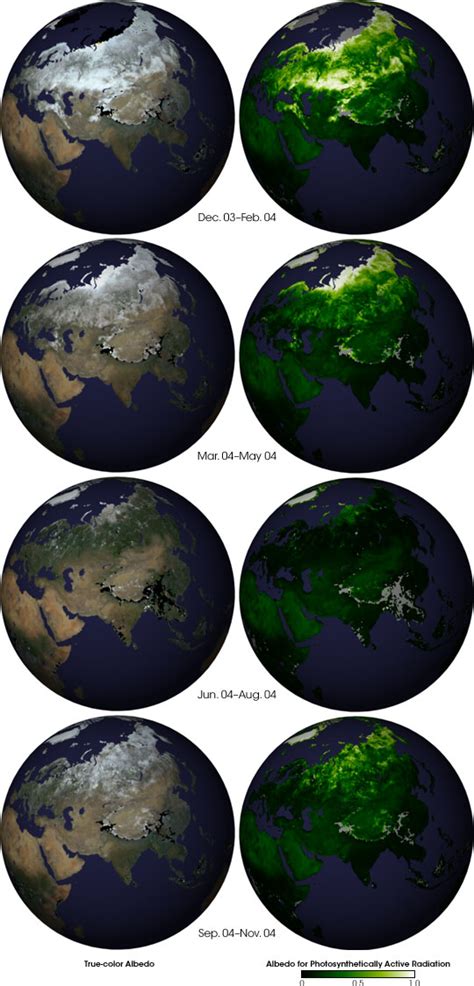 Seasonal Changes in Earth’s Surface Albedo : Image of the Day