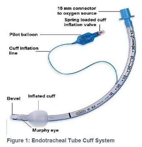 Endotracheal Tube Cuff Pressure Monitoring: A Review Of The