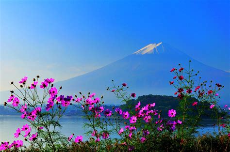 4K, 5K, 6K, Autumn, Mountains, Sky, Mount Fuji, Japan, Trees, Clouds ...