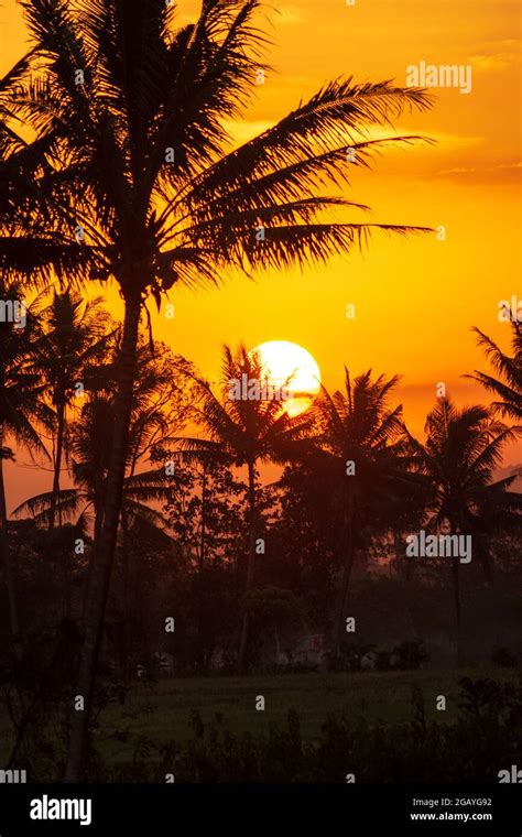 Sunset, Sunrise Summer Landscape.Beautiful Nature.Blue Sky, amazing ...