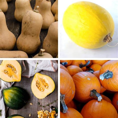 Winter squash guide: how to choose, cook, and store 7 popular varieties